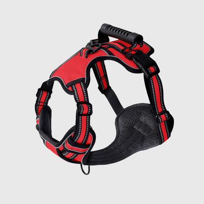 https://cdn.shopify.com/s/files/1/0763/9767/4819/files/Harnais_anti_traction_en_T_rouge.png?v=1749047810