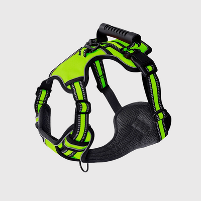 https://cdn.shopify.com/s/files/1/0763/9767/4819/files/Harnais_anti_traction_en_T_vert.png?v=1749047810
