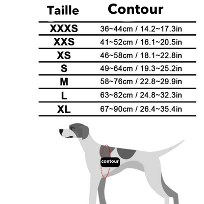 https://cdn.shopify.com/s/files/1/0763/9767/4819/files/Harnais_avec_poignee_pour_chien_taille.png?v=1770643313