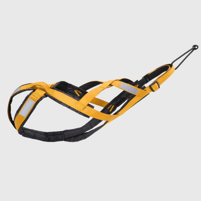 https://cdn.shopify.com/s/files/1/0763/9767/4819/files/Harnais_chien_Canicross_jaune.png?v=1691499941