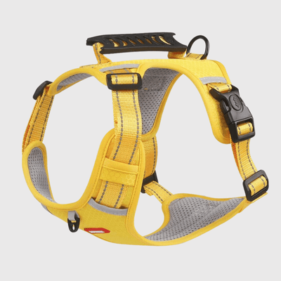 https://cdn.shopify.com/s/files/1/0763/9767/4819/files/Harnais_chien_Y_jaune.png?v=1751383406