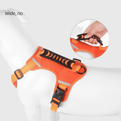 https://cdn.shopify.com/s/files/1/0763/9767/4819/files/Harnais_chien_Y_modele.png?v=1751383406