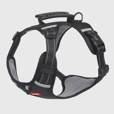 https://cdn.shopify.com/s/files/1/0763/9767/4819/files/Harnais_chien_Y_noir.png?v=1751383406