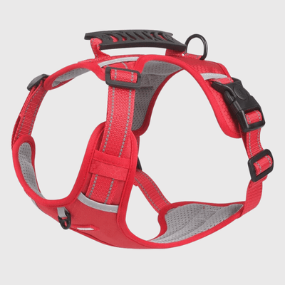 https://cdn.shopify.com/s/files/1/0763/9767/4819/files/Harnais_chien_Y_rouge.png?v=1751383406