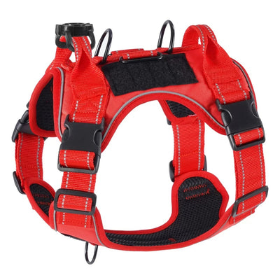 Harnais chien avec gps