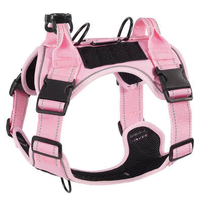 Harnais chien avec gps