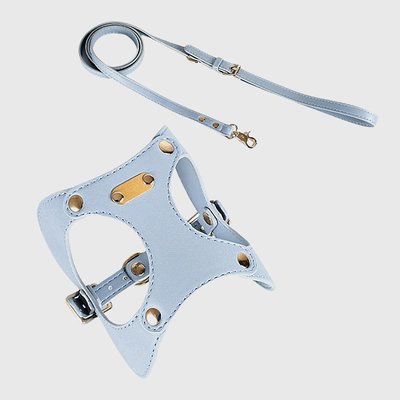 https://cdn.shopify.com/s/files/1/0763/9767/4819/files/Harnais_chien_cuir_bleu.png?v=1770640872