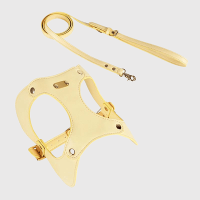 https://cdn.shopify.com/s/files/1/0763/9767/4819/files/Harnais_chien_cuir_jaune.png?v=1770640872