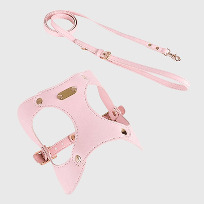 https://cdn.shopify.com/s/files/1/0763/9767/4819/files/Harnais_chien_cuir_rose.png?v=1770640872