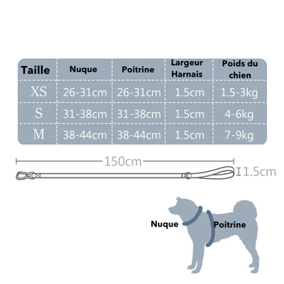 https://cdn.shopify.com/s/files/1/0763/9767/4819/files/Harnais_chien_cuir_taille.png?v=1770640872