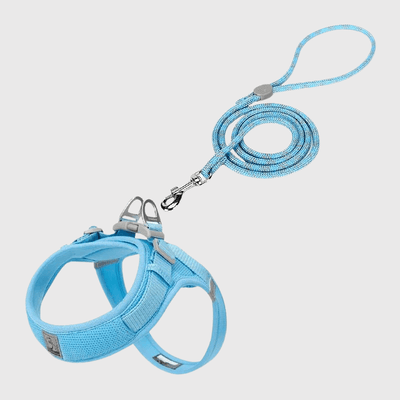 https://cdn.shopify.com/s/files/1/0763/9767/4819/files/Harnais_chien_en_t_bleu_ciel.png?v=1770643302