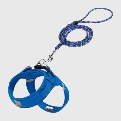 https://cdn.shopify.com/s/files/1/0763/9767/4819/files/Harnais_chien_en_t_bleu_fonce.png?v=1770643302