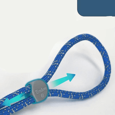 https://cdn.shopify.com/s/files/1/0763/9767/4819/files/Harnais_chien_en_t_laisse.png?v=1770643302
