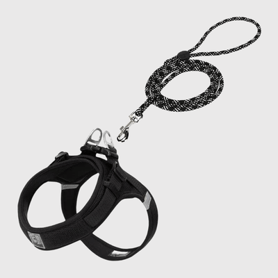 https://cdn.shopify.com/s/files/1/0763/9767/4819/files/Harnais_chien_en_t_noir.png?v=1770643302