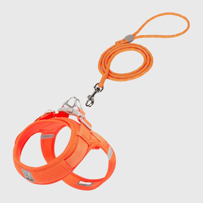 https://cdn.shopify.com/s/files/1/0763/9767/4819/files/Harnais_chien_en_t_orange.png?v=1770643302