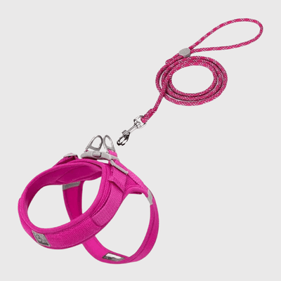 https://cdn.shopify.com/s/files/1/0763/9767/4819/files/Harnais_chien_en_t_rose.png?v=1711544927