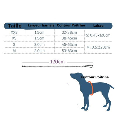 https://cdn.shopify.com/s/files/1/0763/9767/4819/files/Harnais_chien_en_t_taille.png?v=1770643302