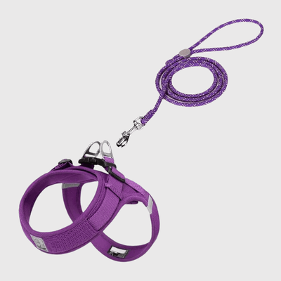 https://cdn.shopify.com/s/files/1/0763/9767/4819/files/Harnais_chien_en_t_violet.png?v=1711544929