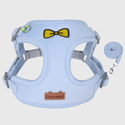 https://cdn.shopify.com/s/files/1/0763/9767/4819/files/Harnais_chien_randonnee_bleu.png?v=1727968609