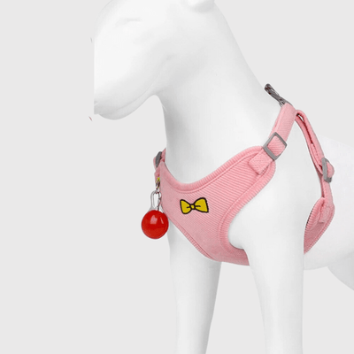 https://cdn.shopify.com/s/files/1/0763/9767/4819/files/Harnais_chien_randonnee_modele_sur_chien.png?v=1727968676