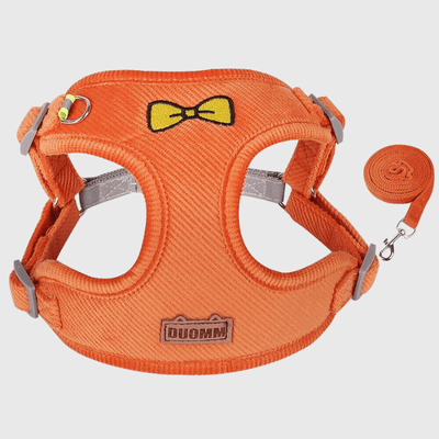 https://cdn.shopify.com/s/files/1/0763/9767/4819/files/Harnais_chien_randonnee_orange.png?v=1727968647