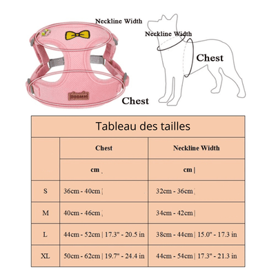 https://cdn.shopify.com/s/files/1/0763/9767/4819/files/Harnais_chien_randonnee_taille.png?v=1727968665