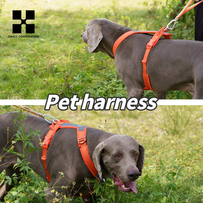 https://boutiquechien.fr/cdn/shop/files/Harnais_chien_xl_sur_chien.webp?v=1771099295&width=3840
