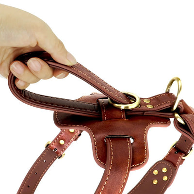 Harnais clouté en cuir personnalisé