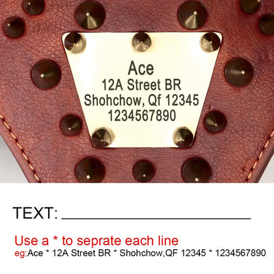 Harnais clouté en cuir personnalisé