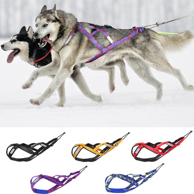 https://cdn.shopify.com/s/files/1/0763/9767/4819/products/Harnais_course_chien_huskys.jpg?v=1727967310