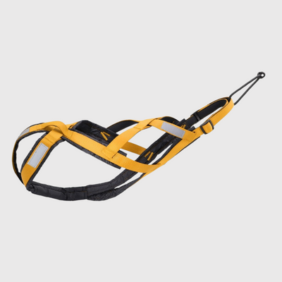 https://cdn.shopify.com/s/files/1/0763/9767/4819/files/Harnais_course_chien_jaune.png?v=1727967173
