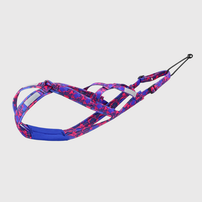 https://cdn.shopify.com/s/files/1/0763/9767/4819/files/Harnais_course_chien_rose.png?v=1756290754