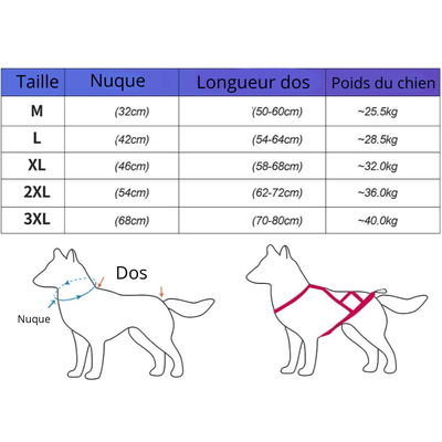 https://cdn.shopify.com/s/files/1/0763/9767/4819/files/Harnais_course_chien_taille.png?v=1727967276