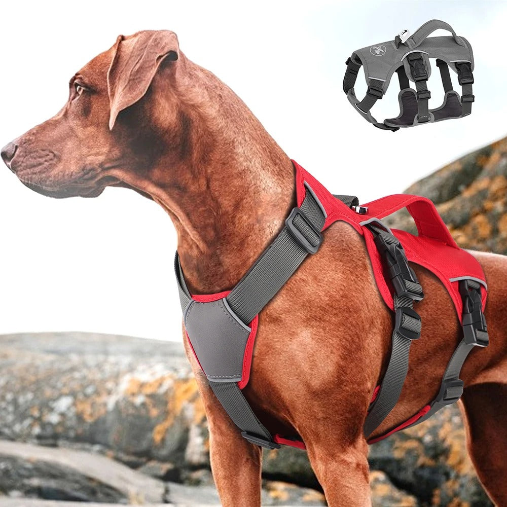 Harnais imperméable pour chien waterproof