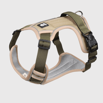 https://cdn.shopify.com/s/files/1/0763/9767/4819/files/Harnais_pour_chien_Beige_beige.png?v=1698686313