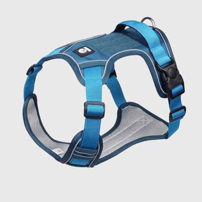 https://cdn.shopify.com/s/files/1/0763/9767/4819/files/Harnais_pour_chien_Bleu.png?v=1698686466