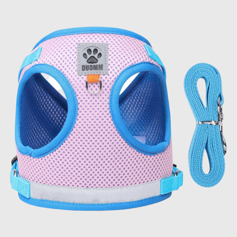 https://cdn.shopify.com/s/files/1/0763/9767/4819/files/Harnais_pour_chien_colore_violet.png?v=1698687554