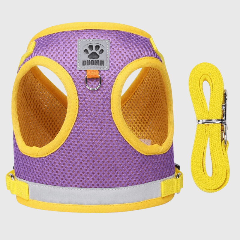 https://cdn.shopify.com/s/files/1/0763/9767/4819/files/Harnais_pour_chien_colore_violet.png?v=1698687554
