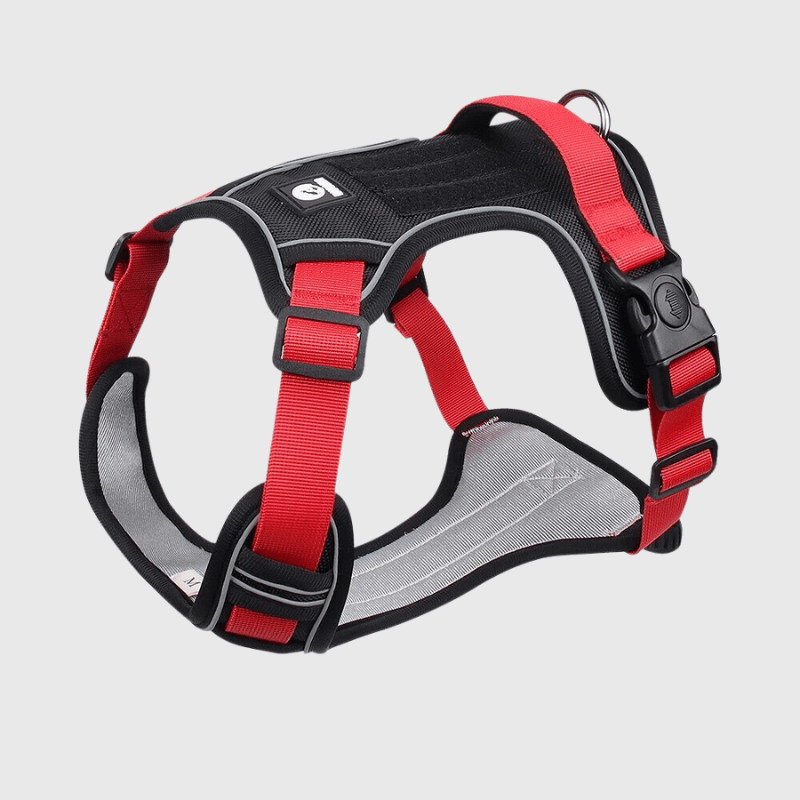 https://cdn.shopify.com/s/files/1/0763/9767/4819/files/Harnais_pour_chien_rouge_et_noir.png?v=1698686593