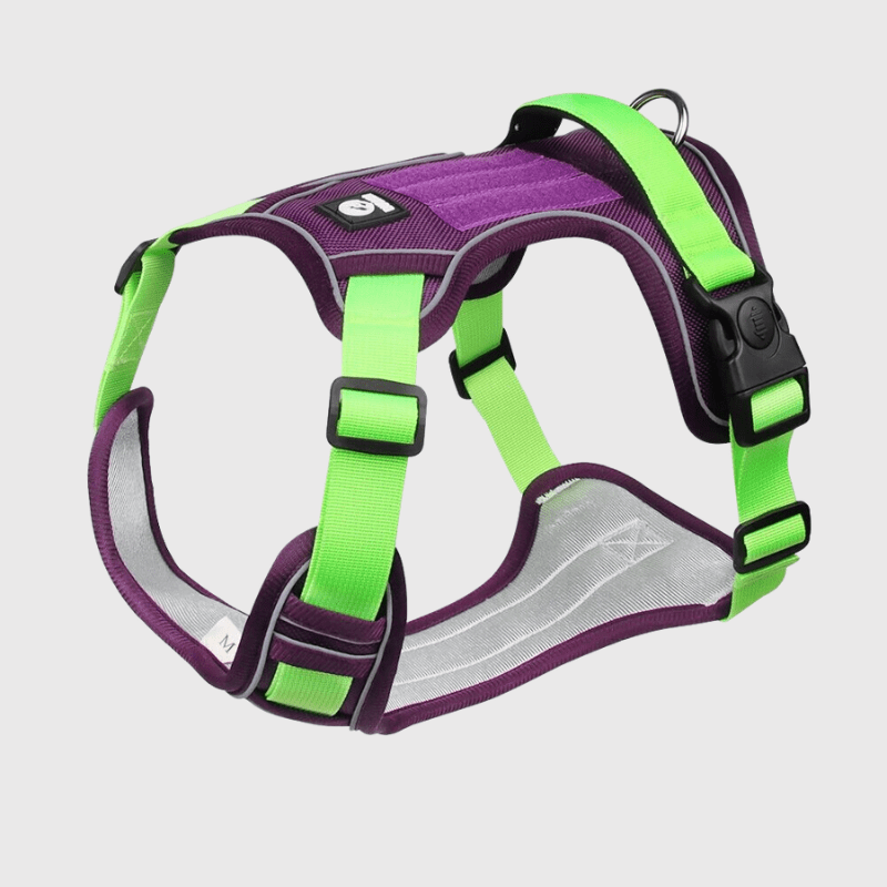 https://cdn.shopify.com/s/files/1/0763/9767/4819/files/Harnais_pour_chien_vert_et_violet.png?v=1698686772