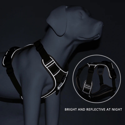 https://cdn.shopify.com/s/files/1/0763/9767/4819/files/Harnais_pour_chien_vert_et_violet_nuit.png?v=1698763349
