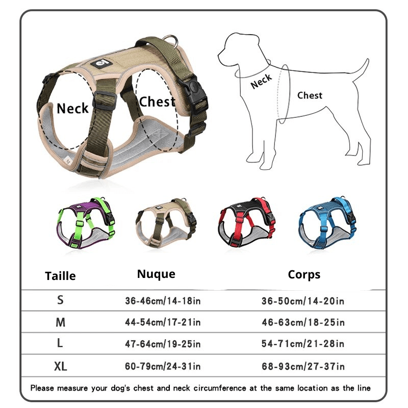 https://cdn.shopify.com/s/files/1/0763/9767/4819/files/Harnais_pour_chien_vert_et_violet_taille.png?v=1698763349
