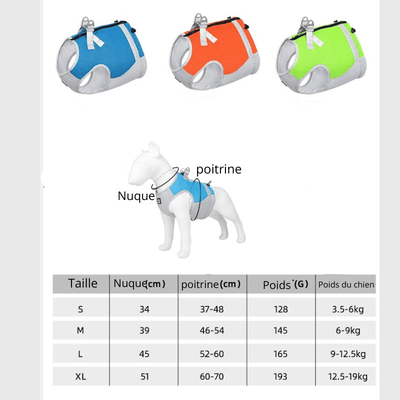 https://cdn.shopify.com/s/files/1/0763/9767/4819/files/Harnais_rafraichissant_pour_chien_taille.png?v=1751383140