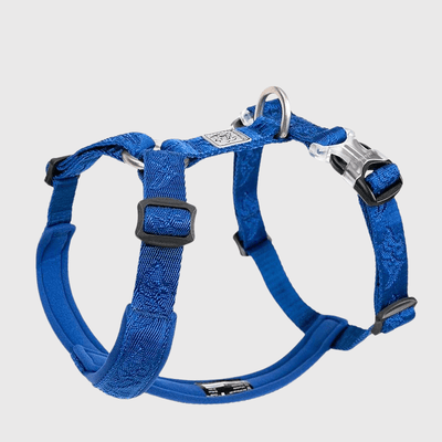 https://cdn.shopify.com/s/files/1/0763/9767/4819/files/Harnais_reglable_pour_chien_bleu.png?v=1769184978