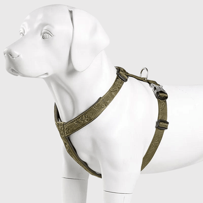 https://cdn.shopify.com/s/files/1/0763/9767/4819/files/Harnais_reglable_pour_chien_chiot.png?v=1769184978