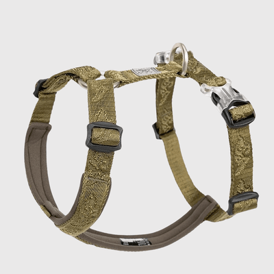https://cdn.shopify.com/s/files/1/0763/9767/4819/files/Harnais_reglable_pour_chien_militaire.png?v=1769184978