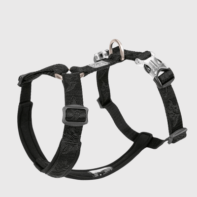 https://cdn.shopify.com/s/files/1/0763/9767/4819/files/Harnais_reglable_pour_chien_noir.png?v=1769184978