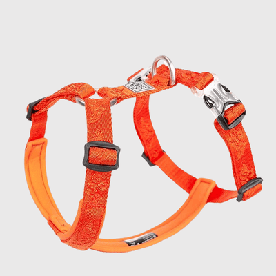 https://cdn.shopify.com/s/files/1/0763/9767/4819/files/Harnais_reglable_pour_chien_orange.png?v=1769184978