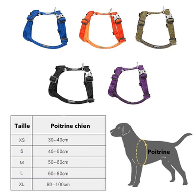 https://cdn.shopify.com/s/files/1/0763/9767/4819/files/Harnais_reglable_pour_chien_taille.png?v=1769184978