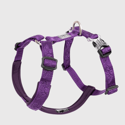 https://cdn.shopify.com/s/files/1/0763/9767/4819/files/Harnais_reglable_pour_chien_violet.png?v=1769184978